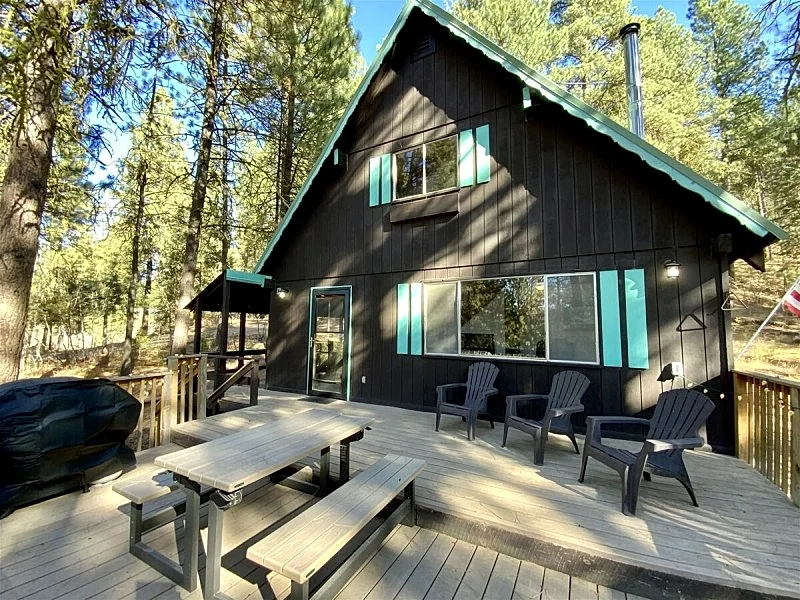 Mint Chip Cabin - Pet friendly - Forested - Large deck - Fire pit