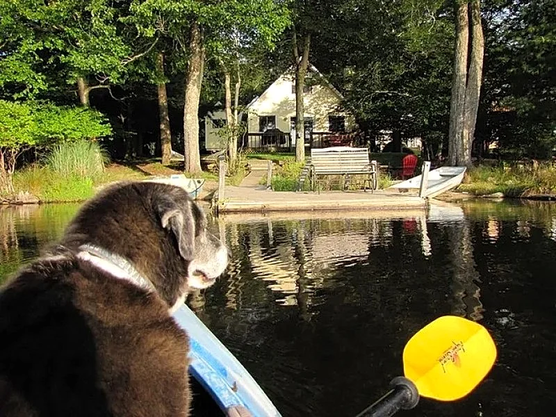 Lakefront Cabin w/ Private Beach, Dock, AC, 4 Boats, Sauna