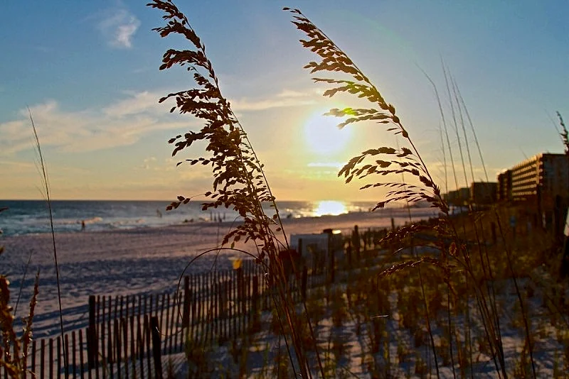 TURTLE WALK 3 BDR GULF FRONT please message for discounts for November/december