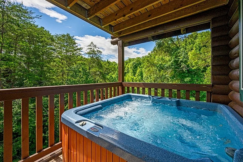 Wilderness Theater & Lodge! Hot Tub, Pool Table, PingPong