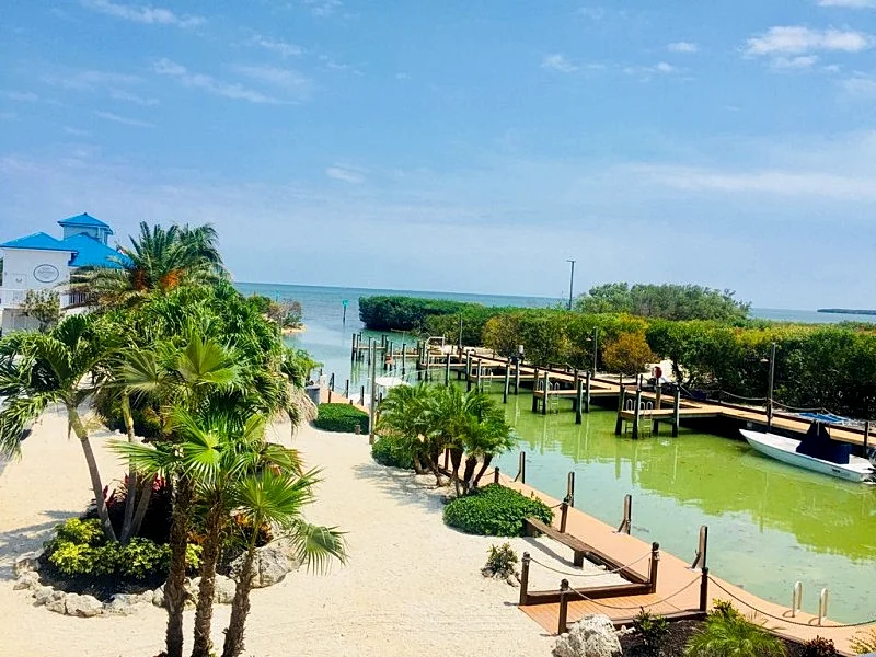 Oceanfront resort condo completly refreshed since Hurricane . Ocean & Marina