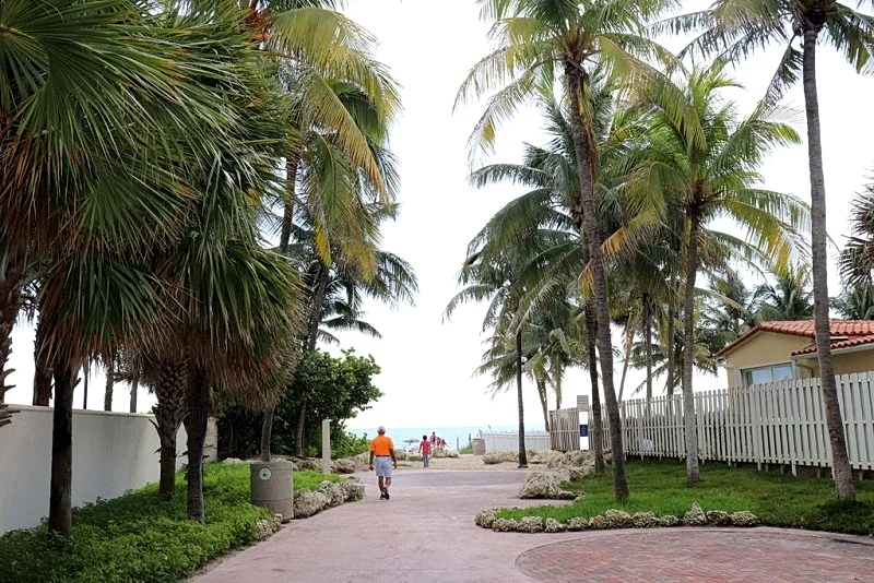 Urban Oasis close Fort Lauderdale Beach Florida