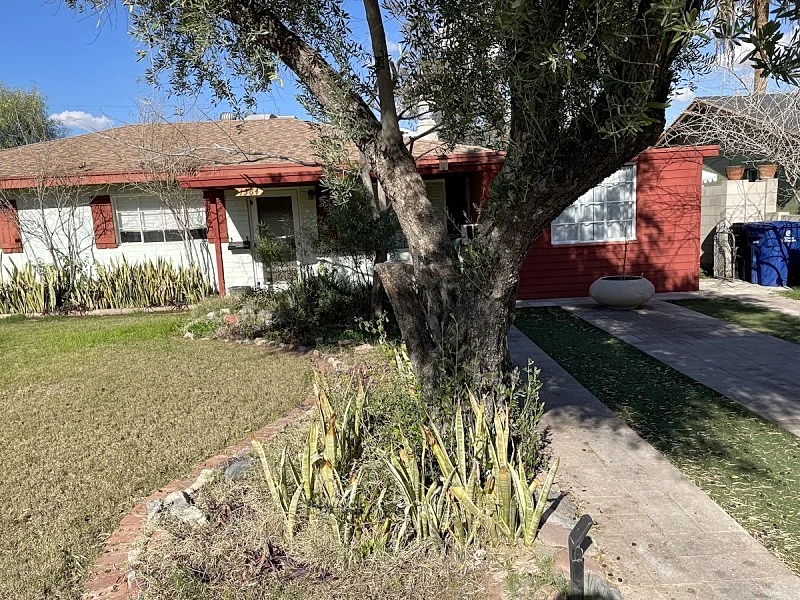 Unique urban habitat near ASU/downtown Tempe