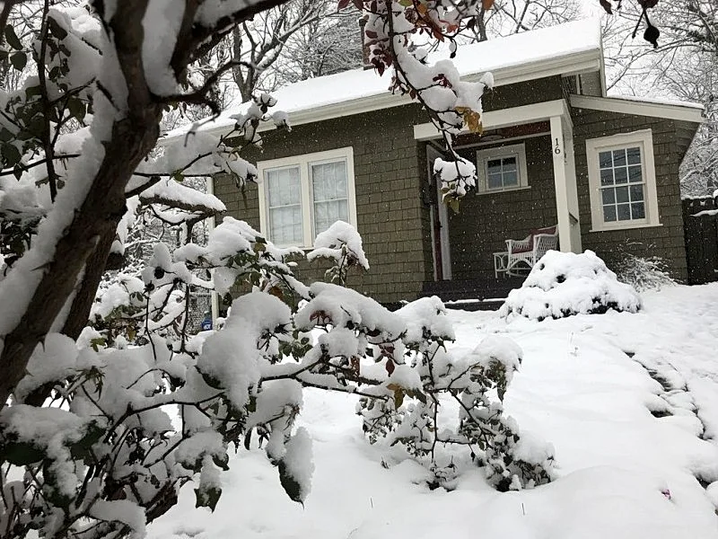 Corner Cottage, A Cozy and Private Retreat Near Downtown