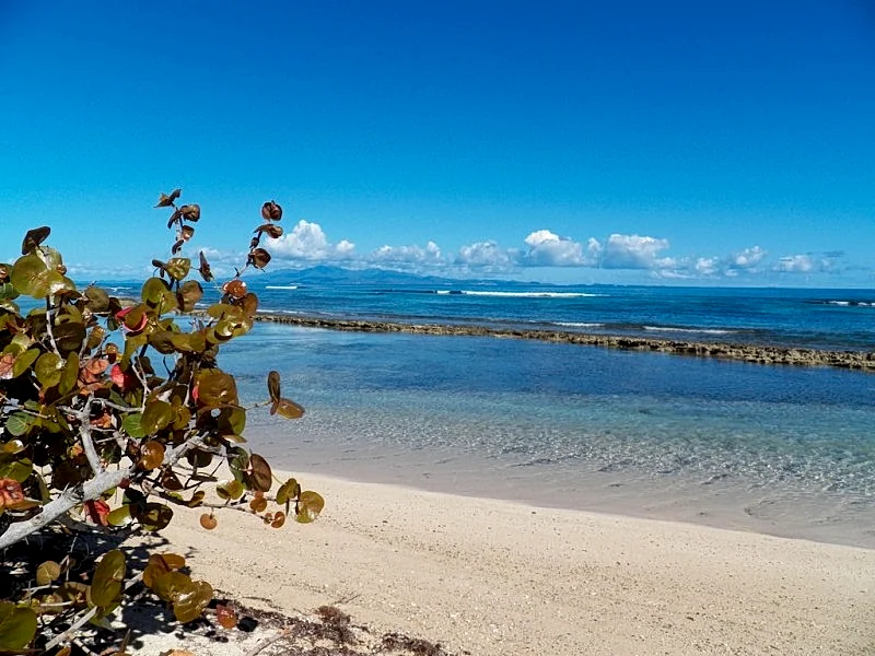 Beautiful,Sandy Beach! 82 Degrees and Sunny! Great Wi-Fi! Aug. & Sept dates open