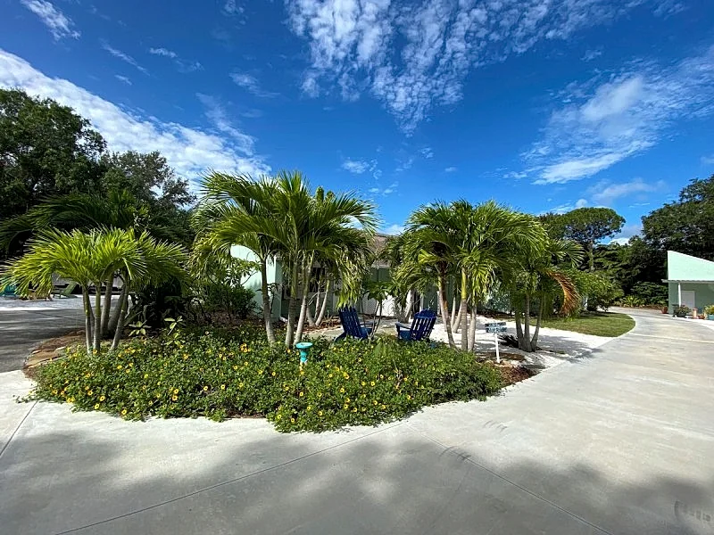 Near Beaches, Pool, Paradise Awaits, Adult Only “The Blue Room” in Seminole, Florida, United States — photo 4