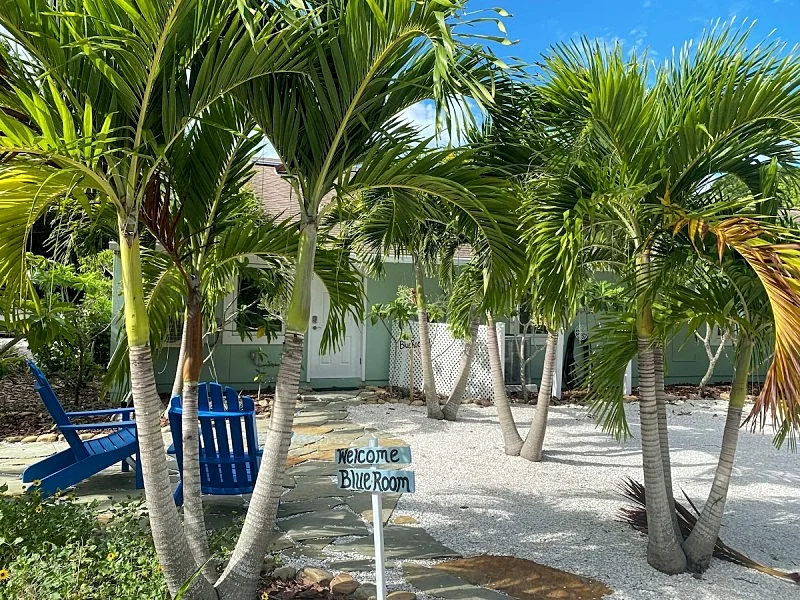 Near Beaches, Pool, Paradise Awaits, Adult Only “The Blue Room” in Seminole, Florida, United States — photo 3
