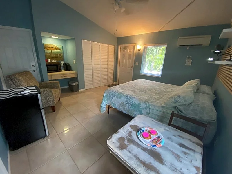 Near Beaches, Pool, Paradise Awaits, Adult Only “The Blue Room” in Seminole, Florida, United States — photo 5