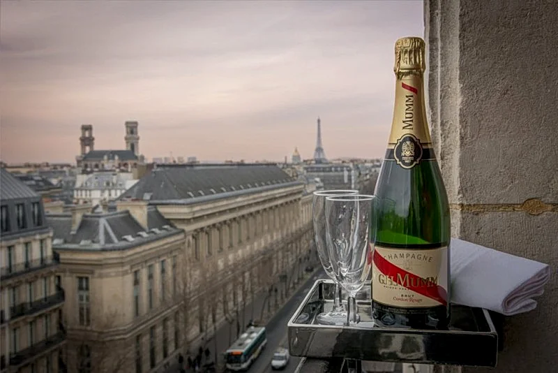 SAINT GERMAIN 1 bedroom rooftop near Odeon