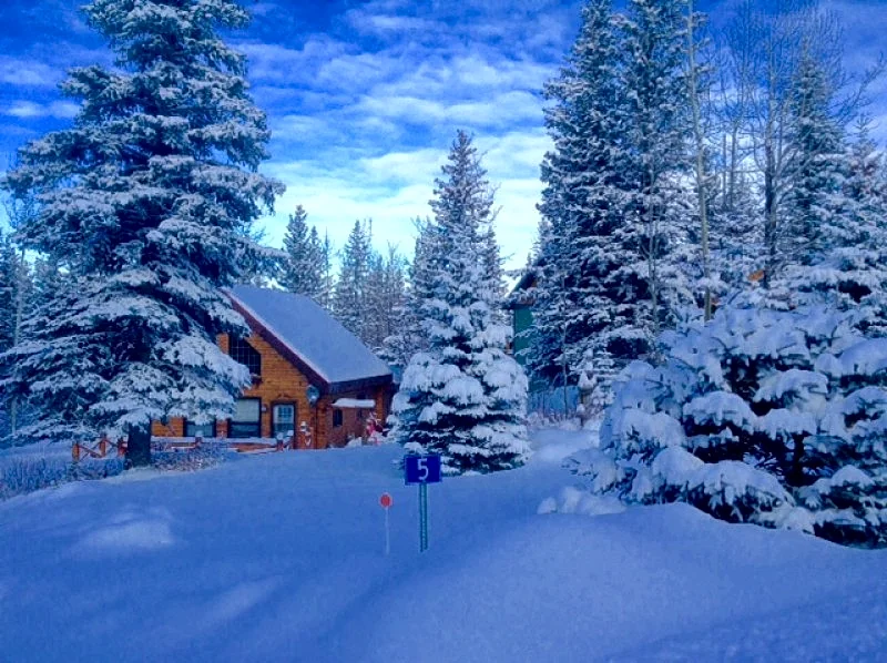 Ginger Bread Cabin in Jasper, Alberta, Canada — photo 2