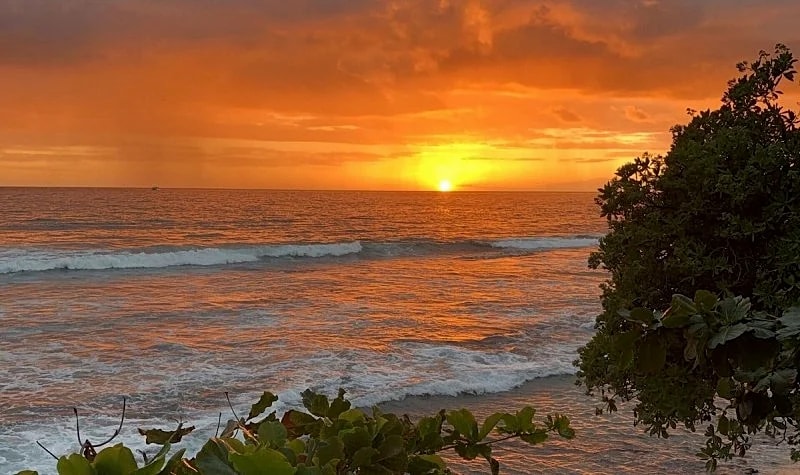Oceanfront Banyan Tree 200 in Kailua Kona, 2BR, 2BA, perfect for 4 guests in North Kona, Hawaii, United States — photo 3