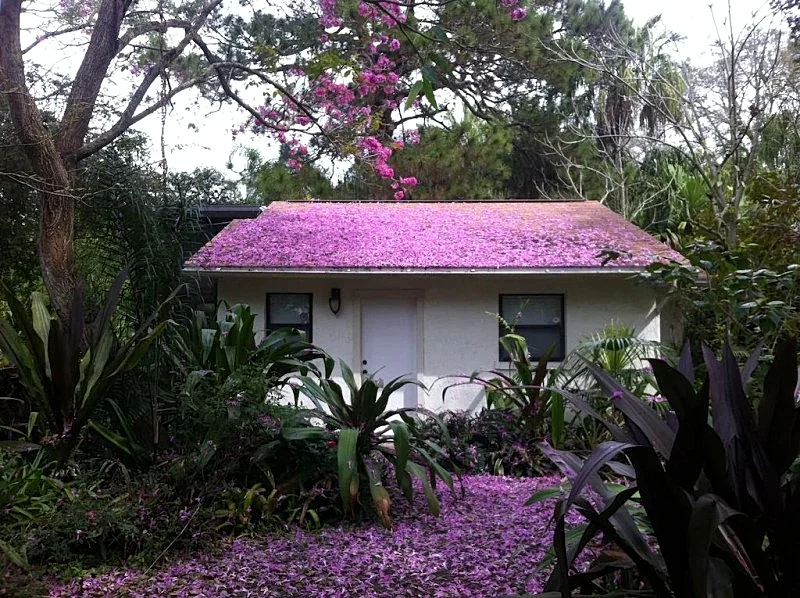 Urban Oasis: Secluded Cottage w/ Lush Botanical Gardens
