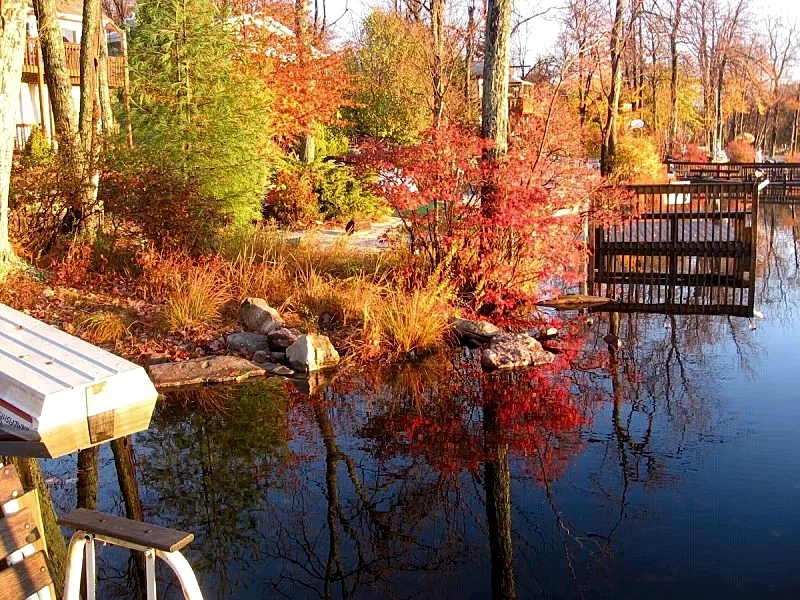 Lakefront Cabin w/ Private Beach, Dock, AC, 4 Boats, Sauna in Tobyhanna, Pennsylvania, United States — photo 3