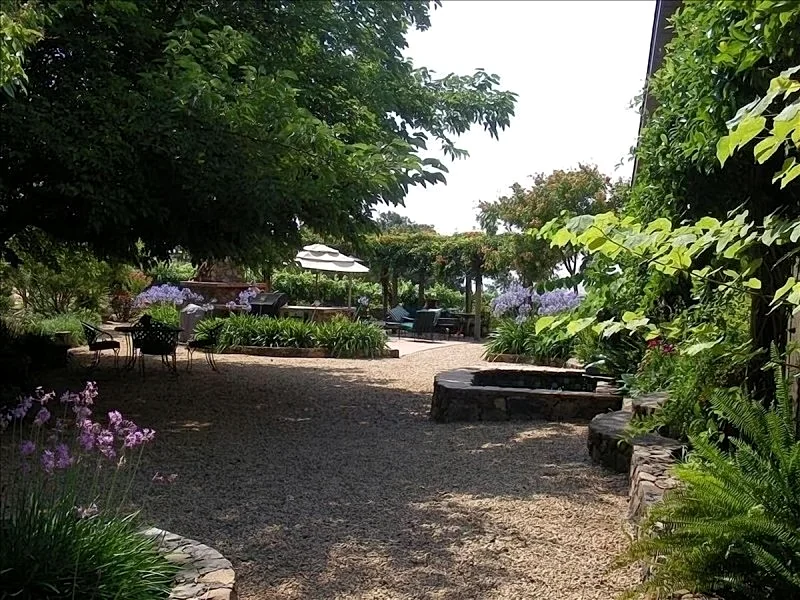 Casual Wine Country Home 3BR/3BA, Vineyard & Views in Sonoma, California, United States — photo 3
