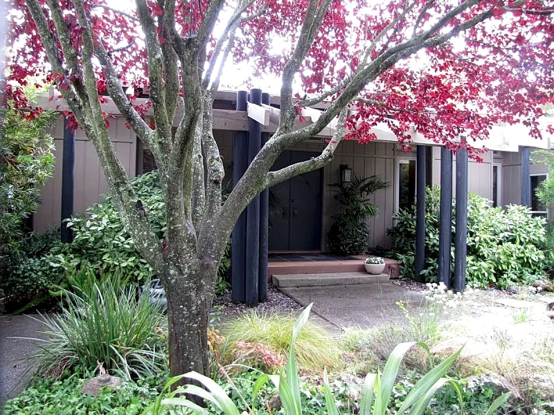 Casual Wine Country Home 3BR/3BA, Vineyard & Views in Sonoma, California, United States — photo 1