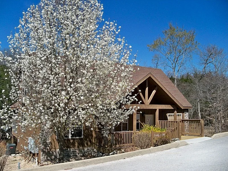 L078B, "Woodland Romance" 1Br Cabin, Pets, Secluded,SEE DESC. for SUMMER SPECIAL