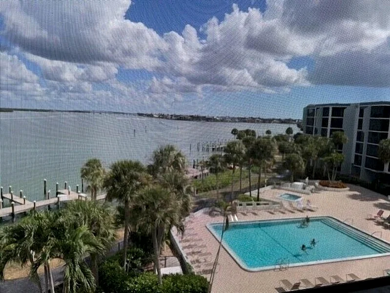 Dolphin Views & 5-Star Comfort Await