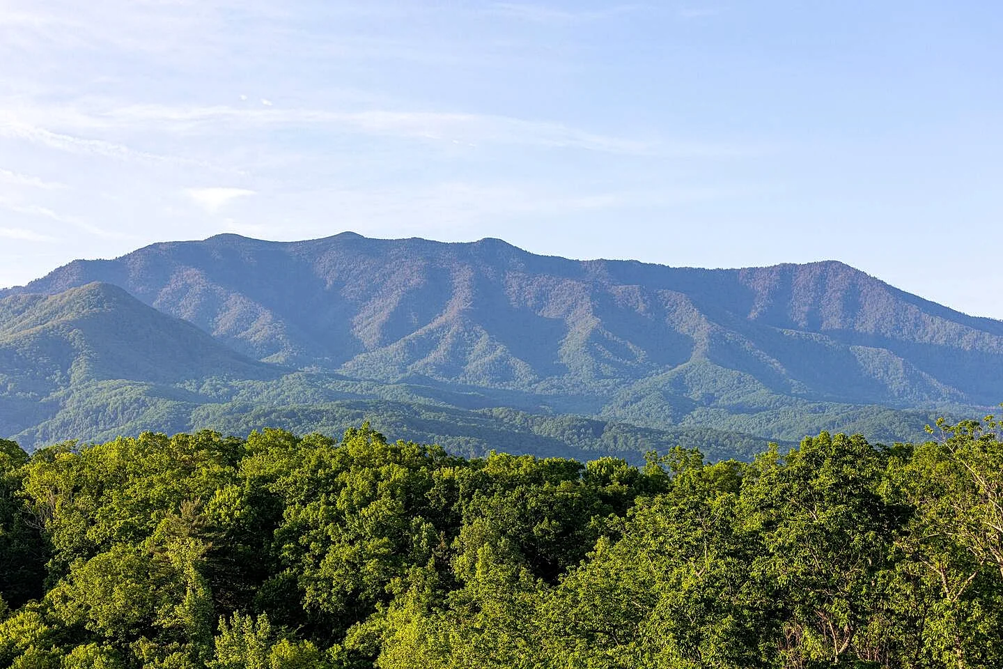 Elevated Views Smoky Mountain Cabin with Indoor Pool in Sevierville, Tennessee, United States — photo 2