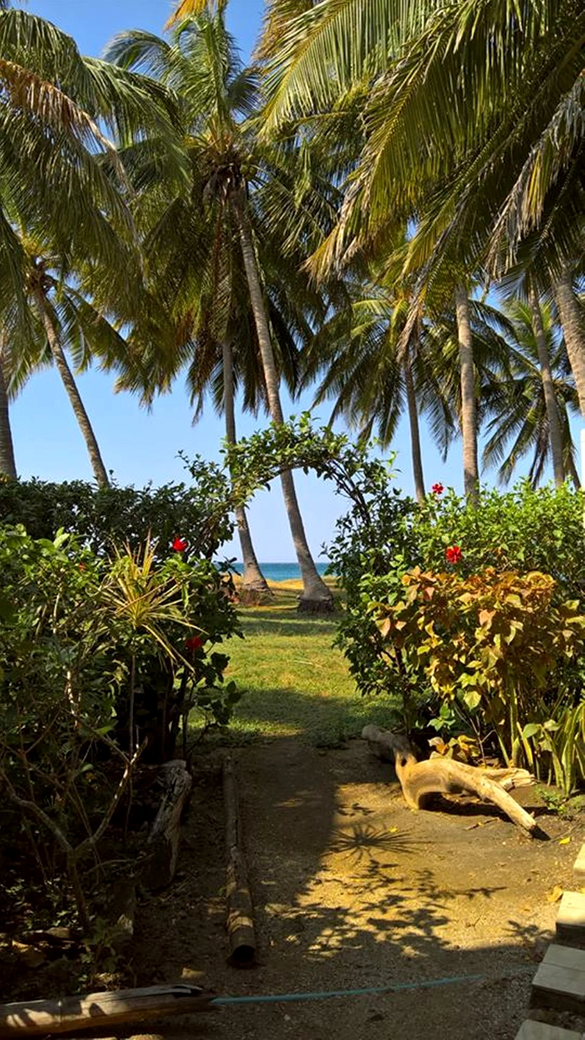 Costa Rica Paradise Right on the Beach!!!