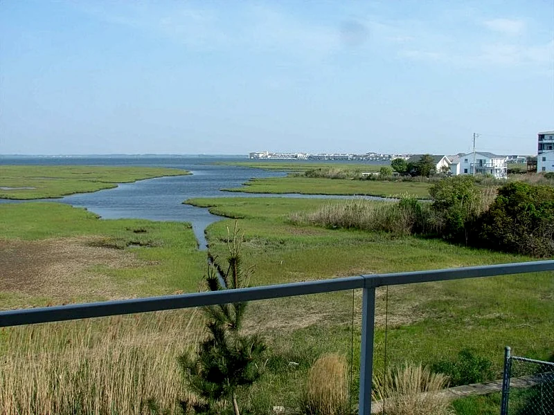 Large Bayfront Condo Private Balcony Fantastic Views of Bay and Sunsets Rooftop Pool/Sundeck