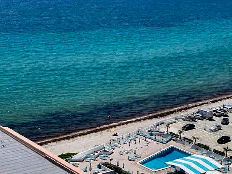 Elegant 2-Bedroom, 2-Bath Condo: Unit 1803 at 2080 S Ocean Dr, Hallandale Beach