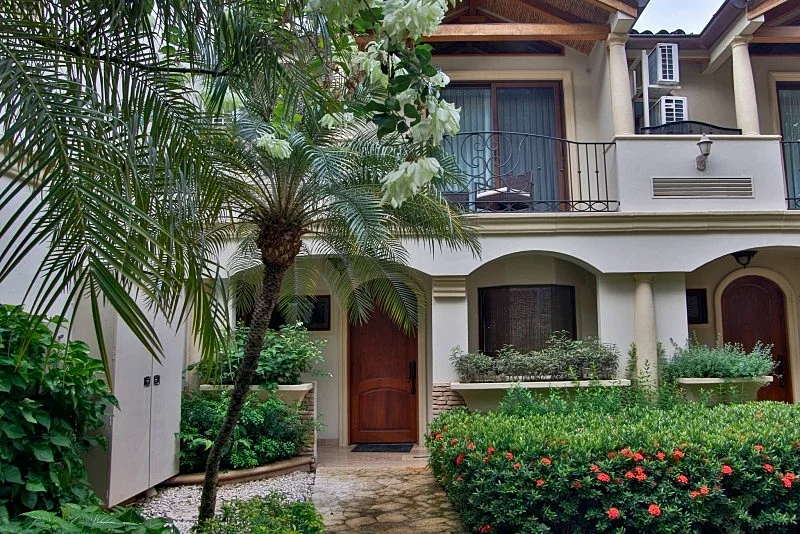 Palms 27