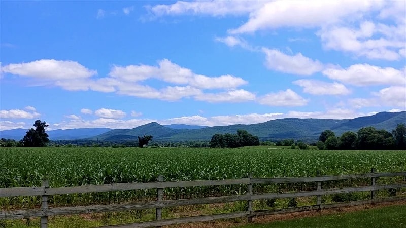 Riverfront Mountain View Haven in Elkton, Virginia, United States — photo 2