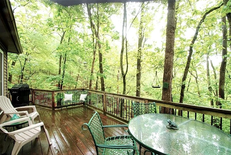 The Nest in Mount Jackson, Virginia, United States — photo 5
