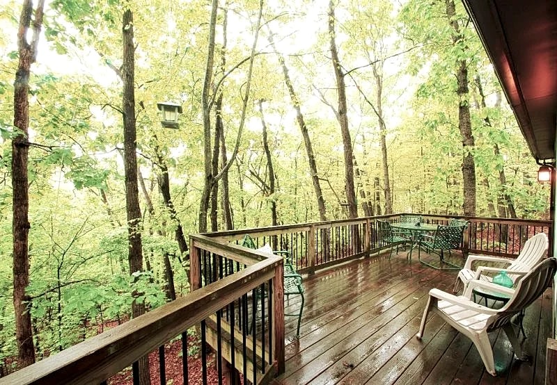 The Nest in Mount Jackson, Virginia, United States — photo 4