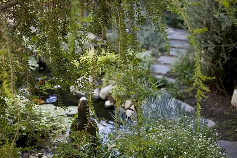 Zen cottage in Santa Monica in Santa Monica, California, United States — photo 3