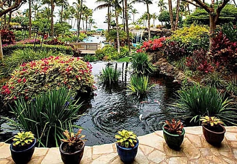 Marriott Maui Ocean Club-Charming One Bedroom in Lanai, Molokai, Maui Towers in Kaanapali, Hawaii, United States — photo 3