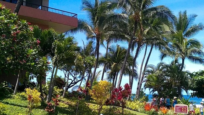 Marriott Maui Ocean Club- Stunning Three Bedroom Villa Lahaina/Napili Towers in Lahaina, Hawaii, United States — photo 3