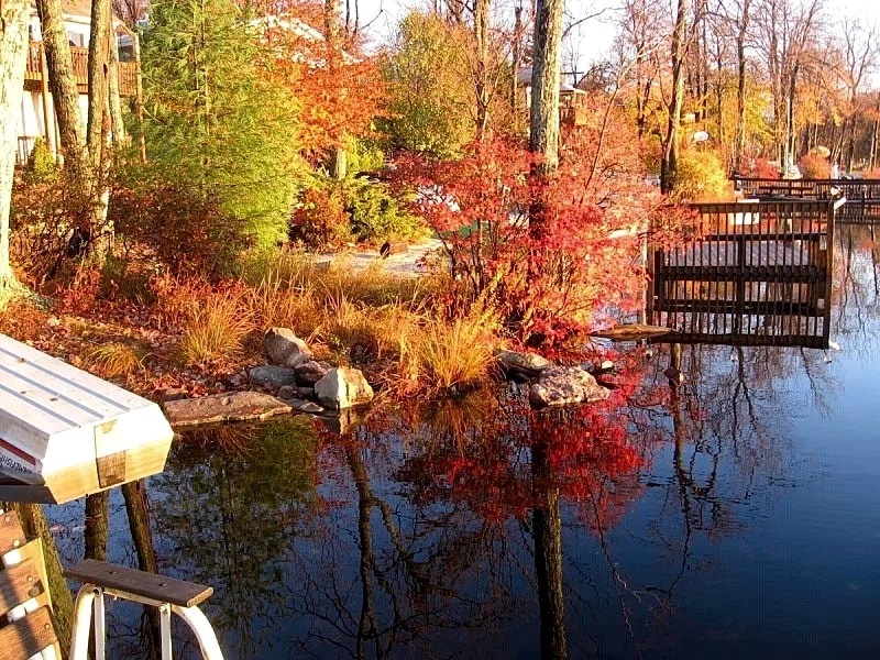 Lakefront Cabin w/ Private Beach, Dock, AC, 4 Boats, Sauna in Tobyhanna, Pennsylvania, United States — photo 3