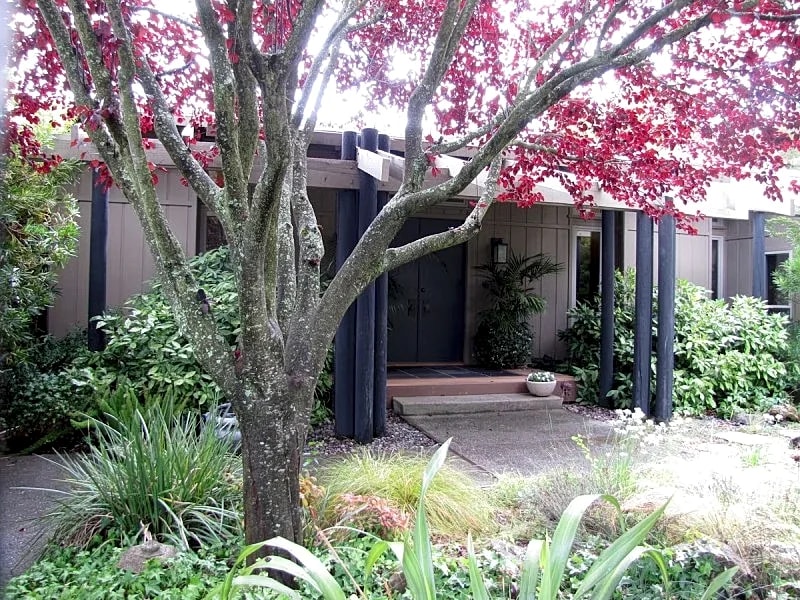 Casual Wine Country Home 3BR/3BA, Vineyard & Views