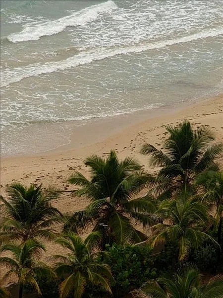 Enjoy the Tropical Breeze in Ashford Ave. Condado Puerto Rico! in San Juan, Puerto Rico — photo 2