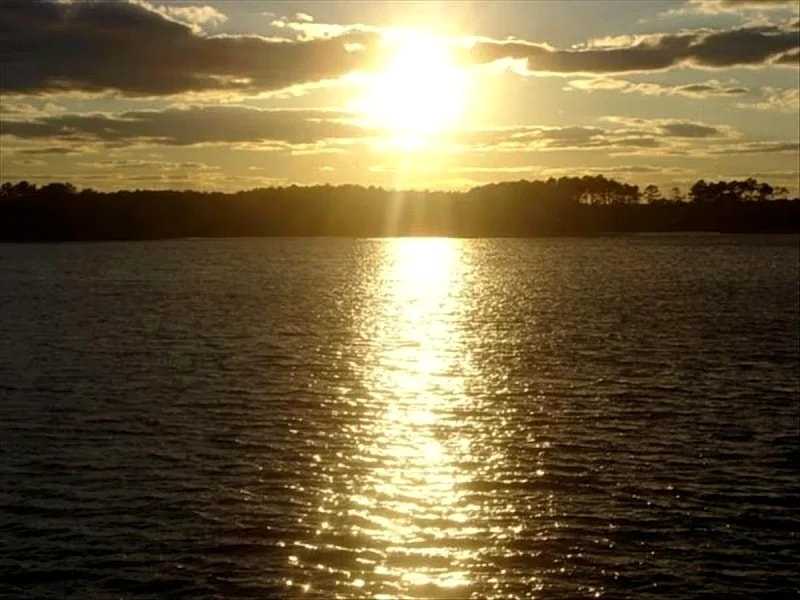 Charming Fenwick Bayfront Cottage!! Spectacular Sunsets!! PET FRIENDLY !! in Fenwick Island, Delaware, United States — photo 3