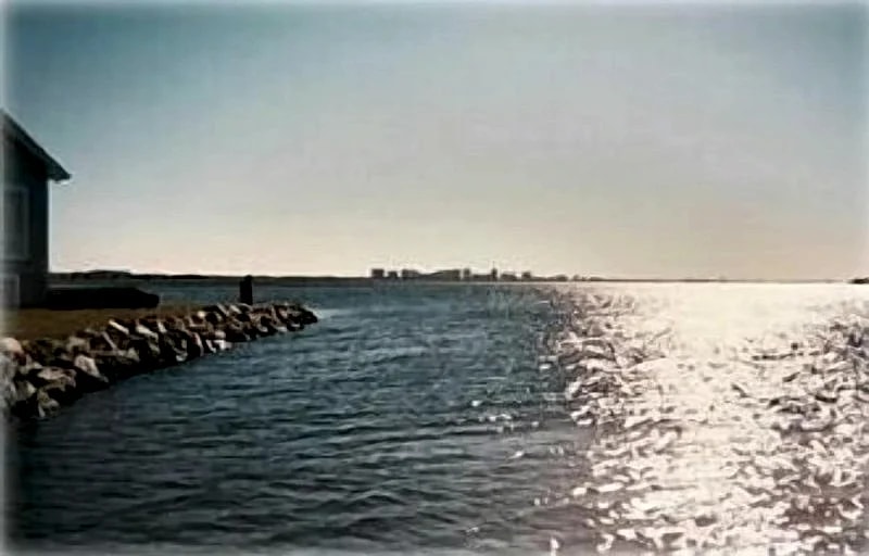 Charming Fenwick Bayfront Cottage!! Spectacular Sunsets!! PET FRIENDLY !! in Fenwick Island, Delaware, United States — photo 2