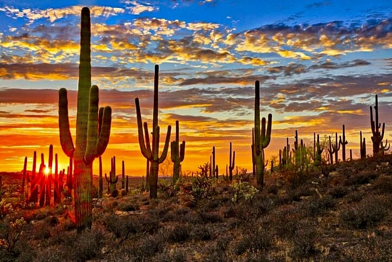 Snowbird Haven! Hike, Bike, Shop. in Marana, Arizona, United States — photo 5