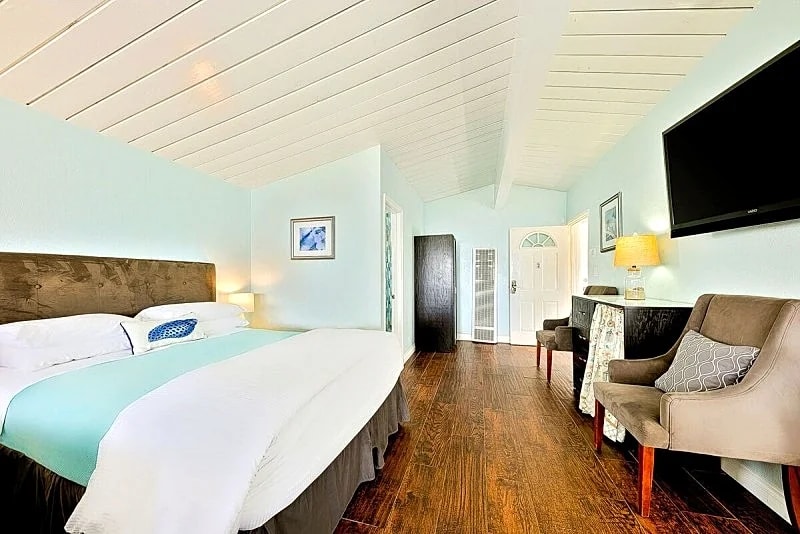 OB Pier 2 - beachfront studio w/ocean views - dogs welcome! in San Diego, California, United States — photo 4
