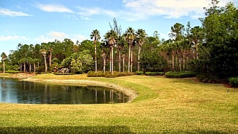 00081 in Naples, Florida, United States — photo 3