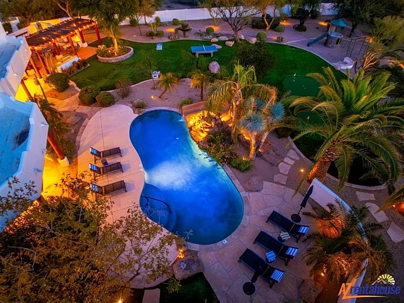 Laurel in Scottsdale, Arizona, United States — photo 2