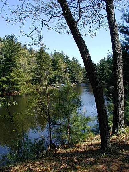 LAKEFRONT HOME ON CASTLE ROCK LAKE WITH PRIVATE PIER - PET FRIENDLY in Friendship, Wisconsin, United States — photo 2