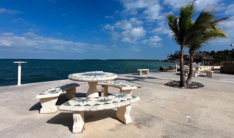 Bayside: 1st Floor Apartment in Native Hammock on Florida Bay in Islamorada, Florida, United States — photo 4