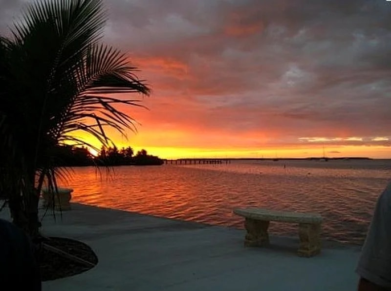 Bayside: 1st Floor Apartment in Native Hammock on Florida Bay in Islamorada, Florida, United States — photo 3
