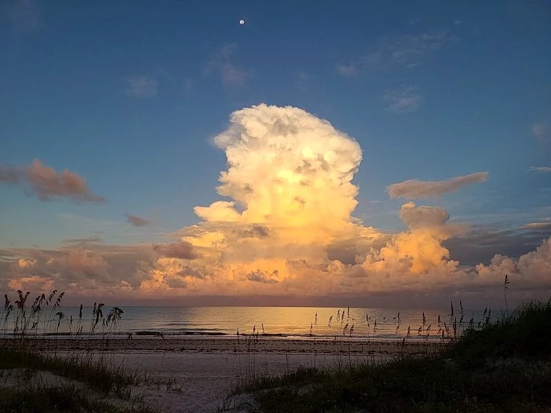 Beachfront Cottages GARDEN at Beautiful Sandy Shores on Gulf of Mexico in Indian Rocks Beach, Florida, United States — photo 5