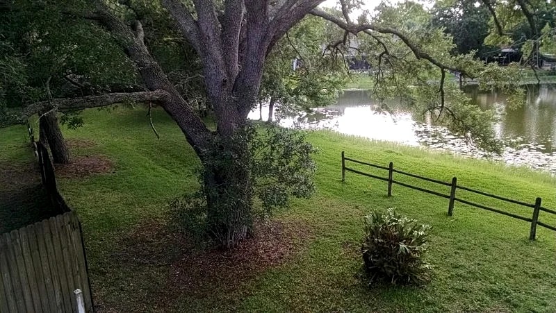 Serenity LakeHouse in Tampa in Tampa, Florida, United States — photo 2