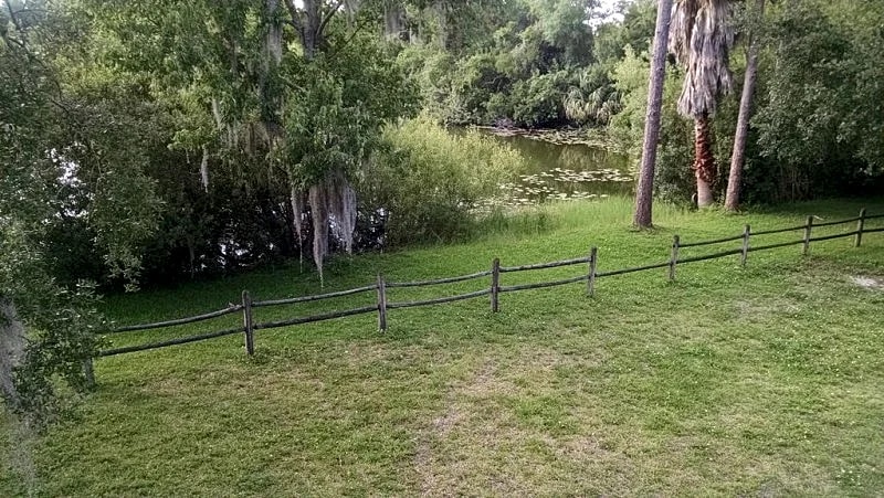 Serenity LakeHouse in Tampa in Tampa, Florida, United States — photo 3