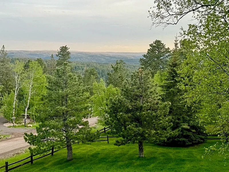 Top of the Hills - new listing! in Lead, South Dakota, United States — photo 3