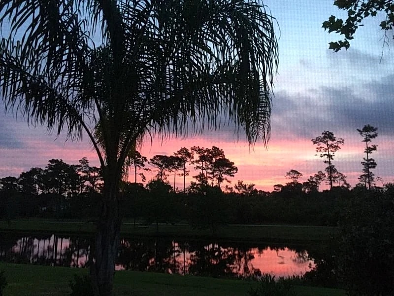 SPECIAL-169 a night ! Peaceful and Cozy Lakefront Home- Pet Friendly in St. Augustine, Florida, United States — photo 4