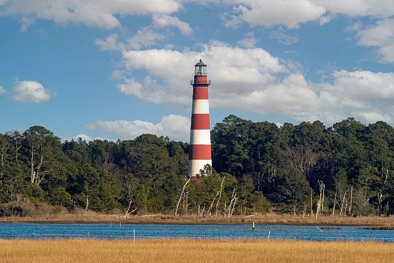 Waterfront cottage with a view of the wild Chincoteague ponies! in Chincoteague, Virginia, United States — photo 3